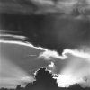 Paysages